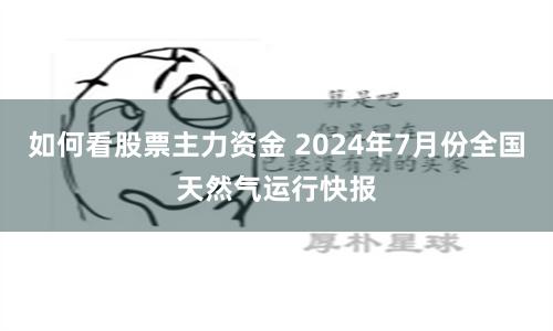如何看股票主力资金 2024年7月份全国天然气运行快报